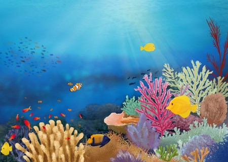 Un mare di coralli è un mare di colori.