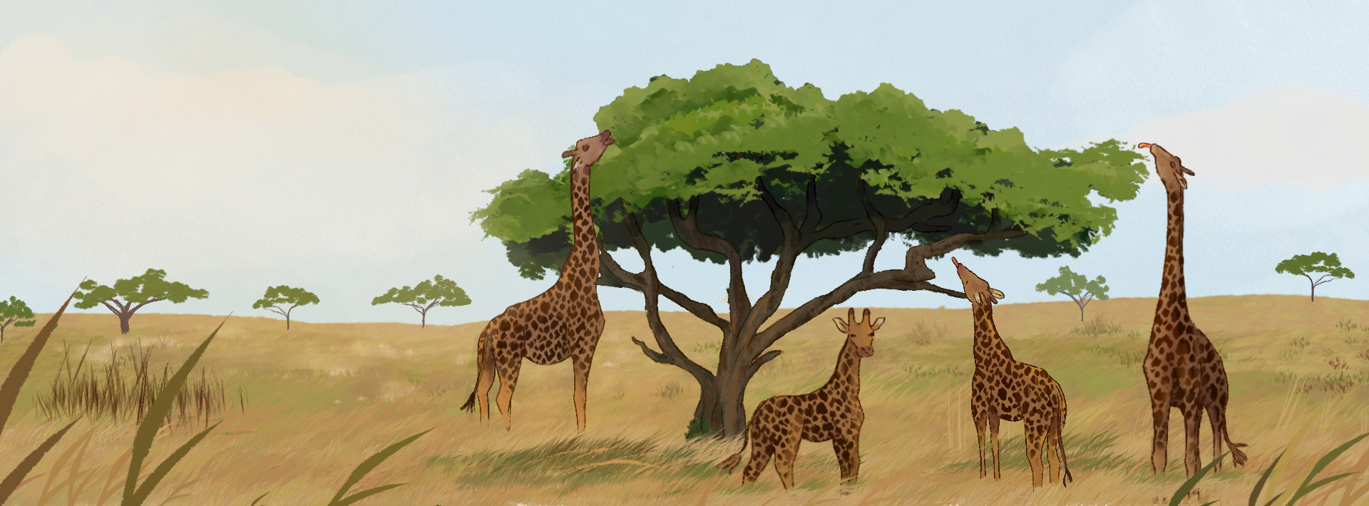 Illustrazione digitale di Adèle Baer, 2023